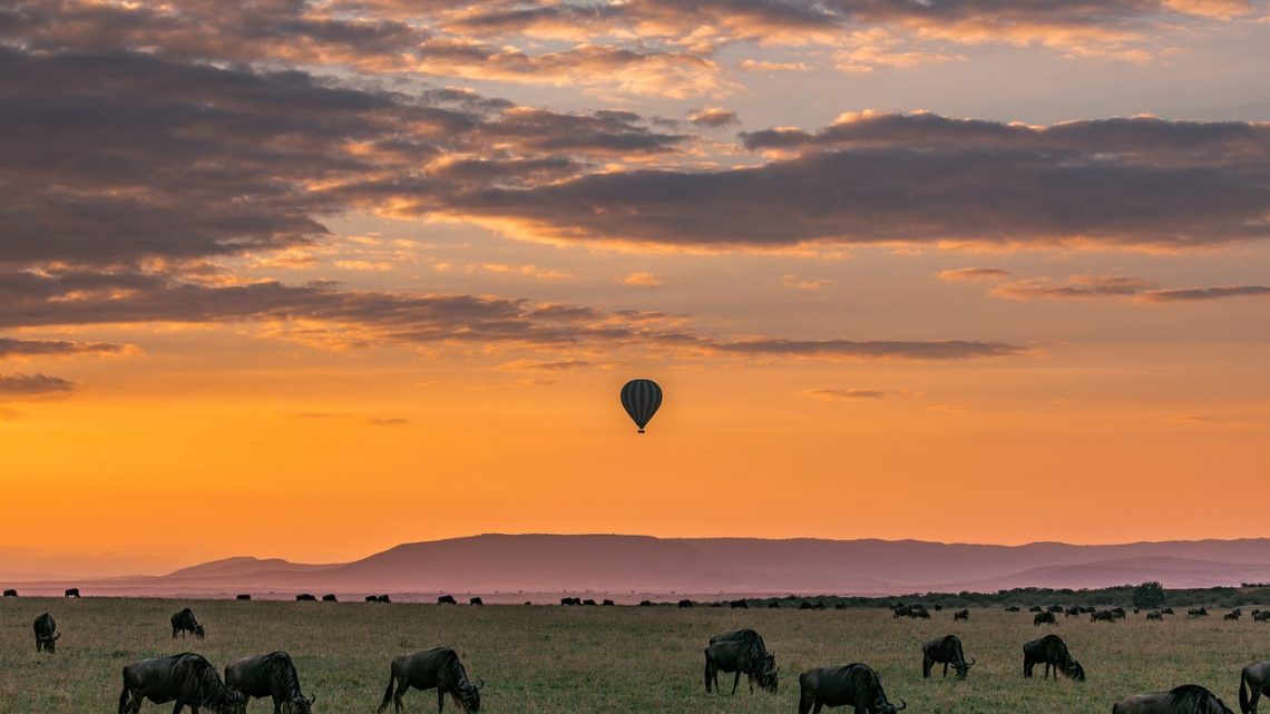 Safari notturno in Tanzania: un’avventura tra i misteri della notte africana