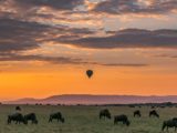 Safari notturno in Tanzania: un’avventura tra i misteri della notte africana